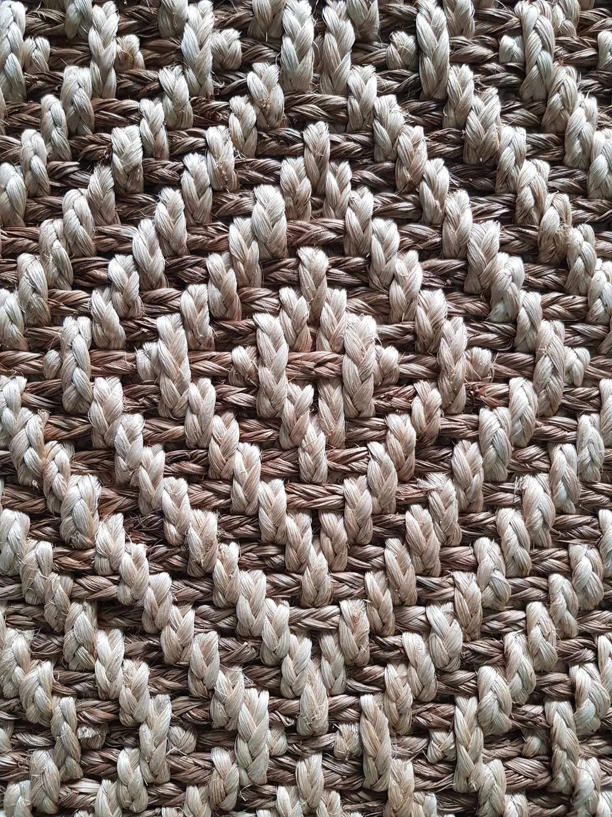 Ian abaca rug