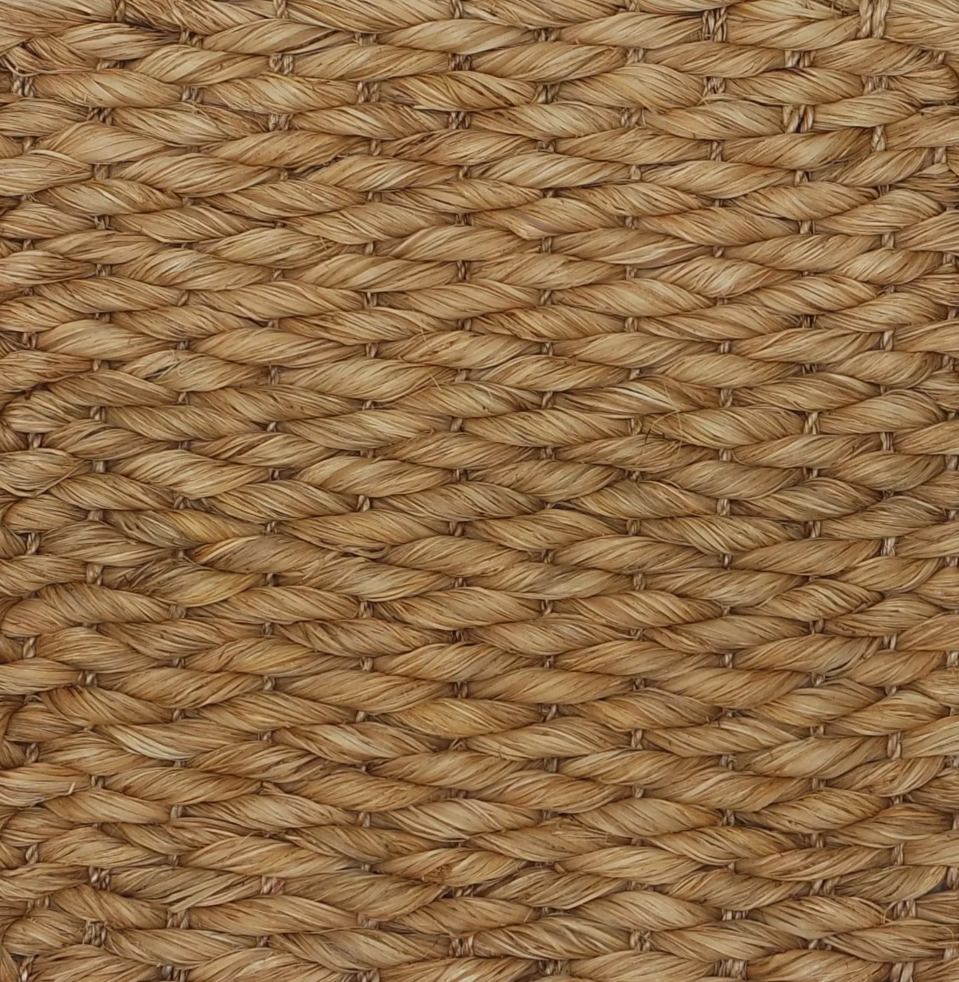 Solemare abaca rug